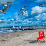 324 Z Basenem, Sauna, Jacuzzi, Przy Samej Plazy - 5d - 5d *