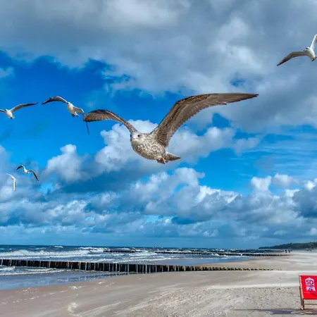 324 Z Basenem, Sauna, Jacuzzi, Przy Samej Plazy - 5d - 5d Niechorze