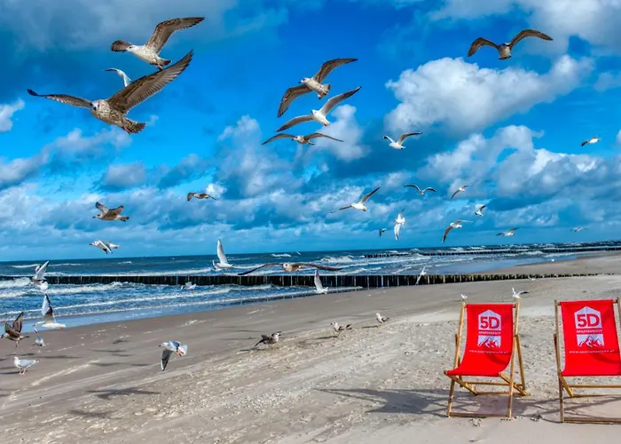 324 Z Basenem, Sauna, Jacuzzi, Przy Samej Plazy - 5d - 5d *