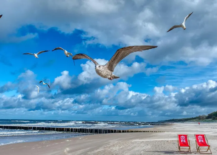 324 Z Basenem, Sauna, Jacuzzi, Przy Samej Plazy - 5d - 5d Niechorze